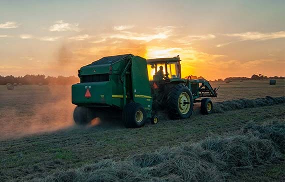 Agriculture